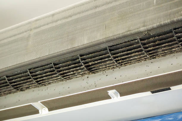 Best Home Air Vent Cleaning  in Riverside, AL
