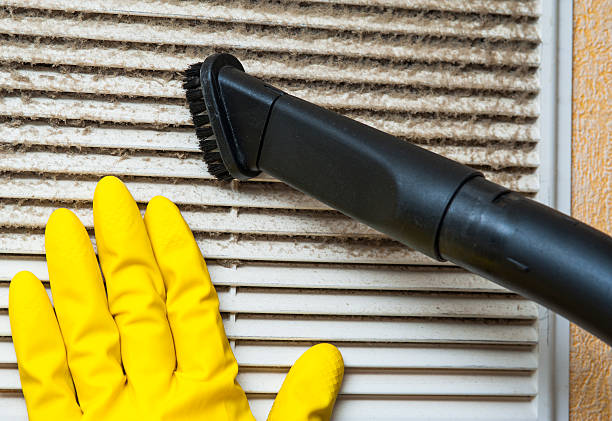 Best Home Air Vent Cleaning  in Riverside, AL